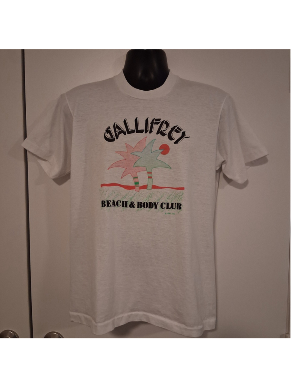 VTG 1987 Gallifrey Doctor Who Adult Large Single Stitch 80s Sci-Fi EUC